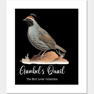 Gambel´s Quail - The Bird Lover Collection Posters and Art